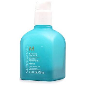 Repair Mending Infusion - Regeneračná infúzia na poškodené vlasy
